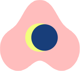 야옹이심